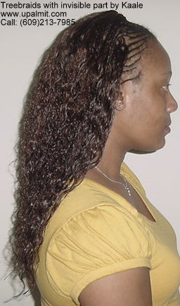 Wet and wavy treebraids with invisible part.