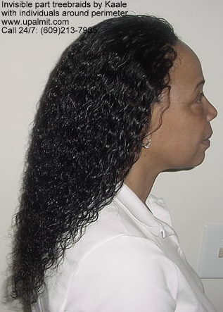 Wet and wavy treebraids with invisible part.