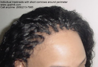 Wet and wavy treebraids with invisible part.