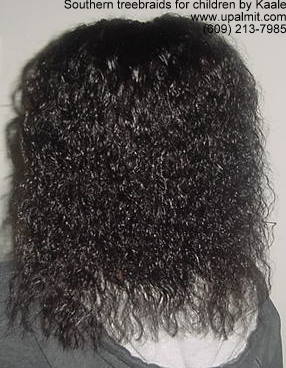 Wet and wavy treebraids, top view.