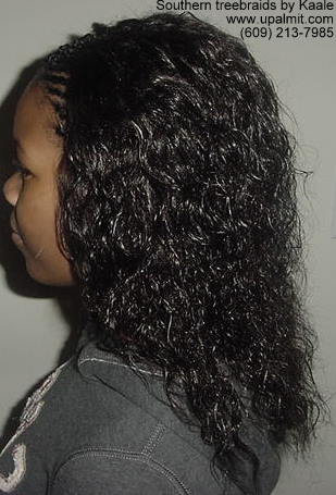 Wet and wavy treebraids.