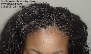 Wet and wavy treebraids, top view.
