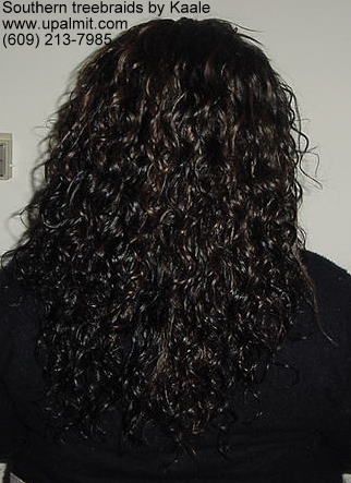 Treebraids- wavy treebraids back view.