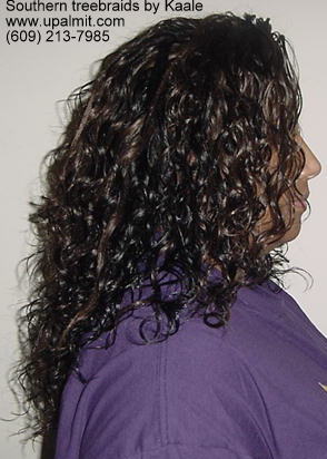 Treebraids- wavy treebraids right view.