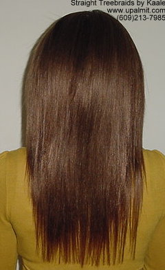 Treebraids- straight treebraids, back view.
