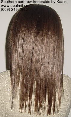 Treebraids- straight treebraids back view.