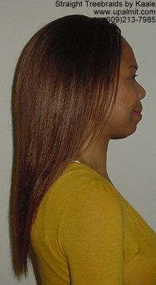 Treebraids- straight treebraids, side view.