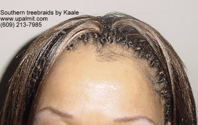 Treebraids- straight treebraids top view.