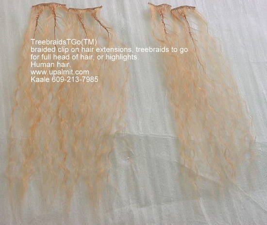 TreebraidsTGo(TM) hair extensions has the following advantages: saves time, money, and your scalp.><br /><br /><h2><a href=