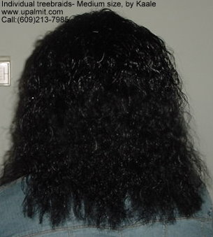 Individual treebraids 4.