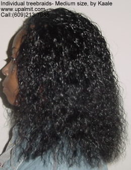 Individual treebraids 3.