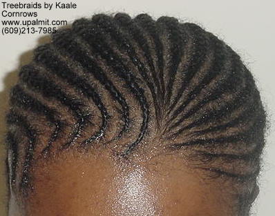Treebraids by Kaale- Cornrows, Top111.