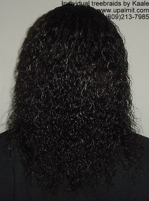 Individual Tree Braids by Kaales African hair braiding.