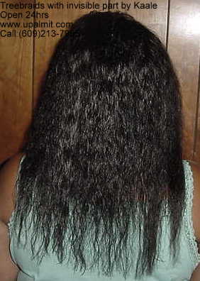 Wet and wavy treebraids with invisible part.