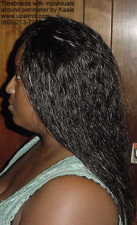 Wet and wavy treebraids with invisible part.