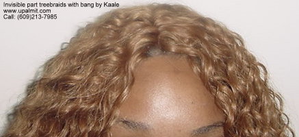 Wet and wavy treebraids with invisible part.