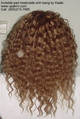 Wet and wavy treebraids with invisible part.