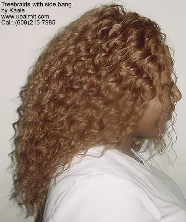 Wet and wavy treebraids with invisible part.