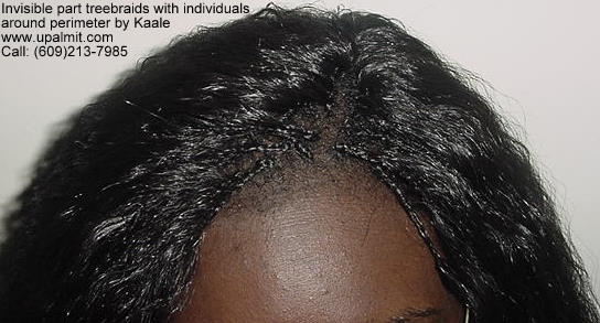 Wet and wavy treebraids with invisible part.