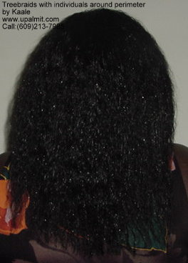 Wet and wavy treebraids with invisible part.