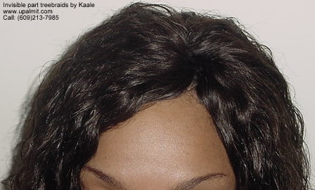 Wet and wavy treebraids with invisible part.