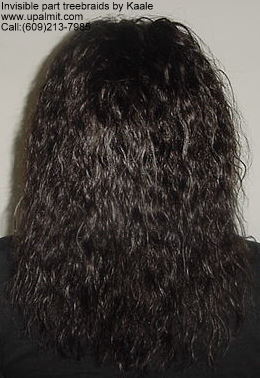 Wet and wavy treebraids with invisible part.