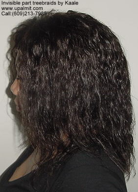 Wet and wavy treebraids with invisible part.