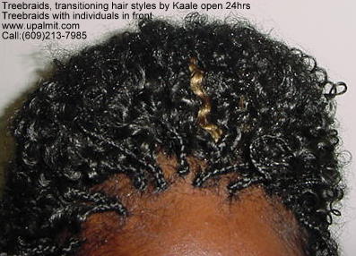 Treebraids transitional hair styles- nappy natural treebraids by Kaale- NJ, PA, NY, DE.