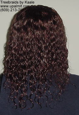 Wet and wavy treebraids with invisible part.
