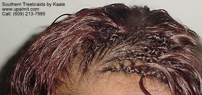 Wet and wavy treebraids with invisible part.