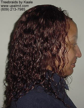Wet and wavy treebraids with invisible part.