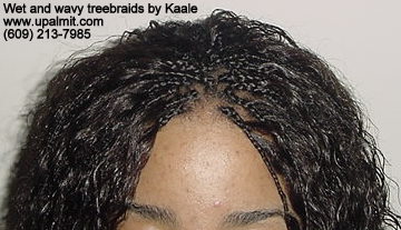 Individual Tree Braids by Kaales African hair braiding.