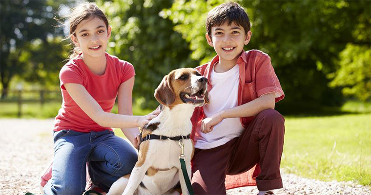 10 Tips To Better Fundraise For Animal Shelters