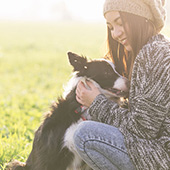 link to
Top Products For New Puppies