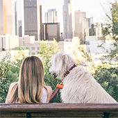 link to My Dog has Fleas: How Do I Get Rid Of Them?