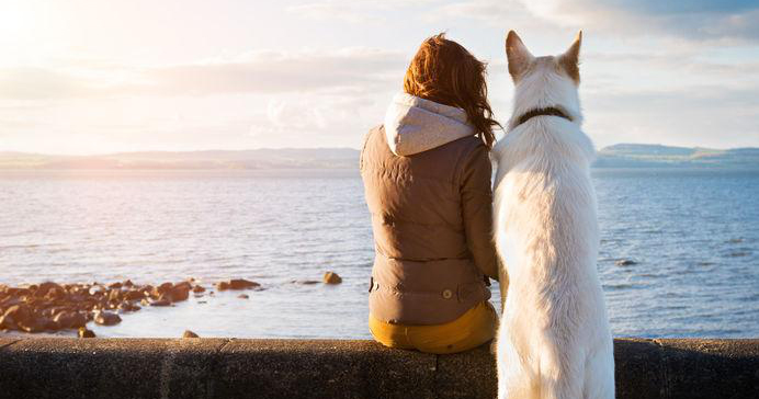 Top 10 Places to Take Your Pet on the West Coast 1