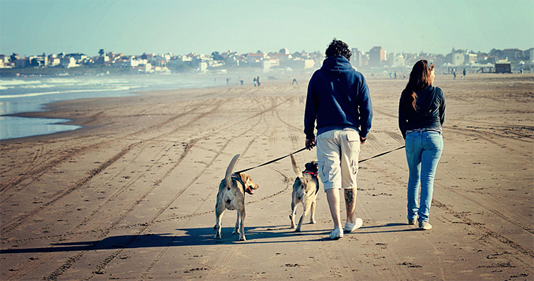 Top 10 Places to Take Your Pet on the West Coast