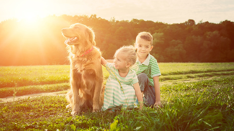 learning from dogs