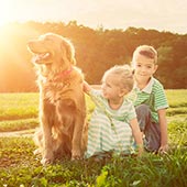 link to 10 things to learn from your dog