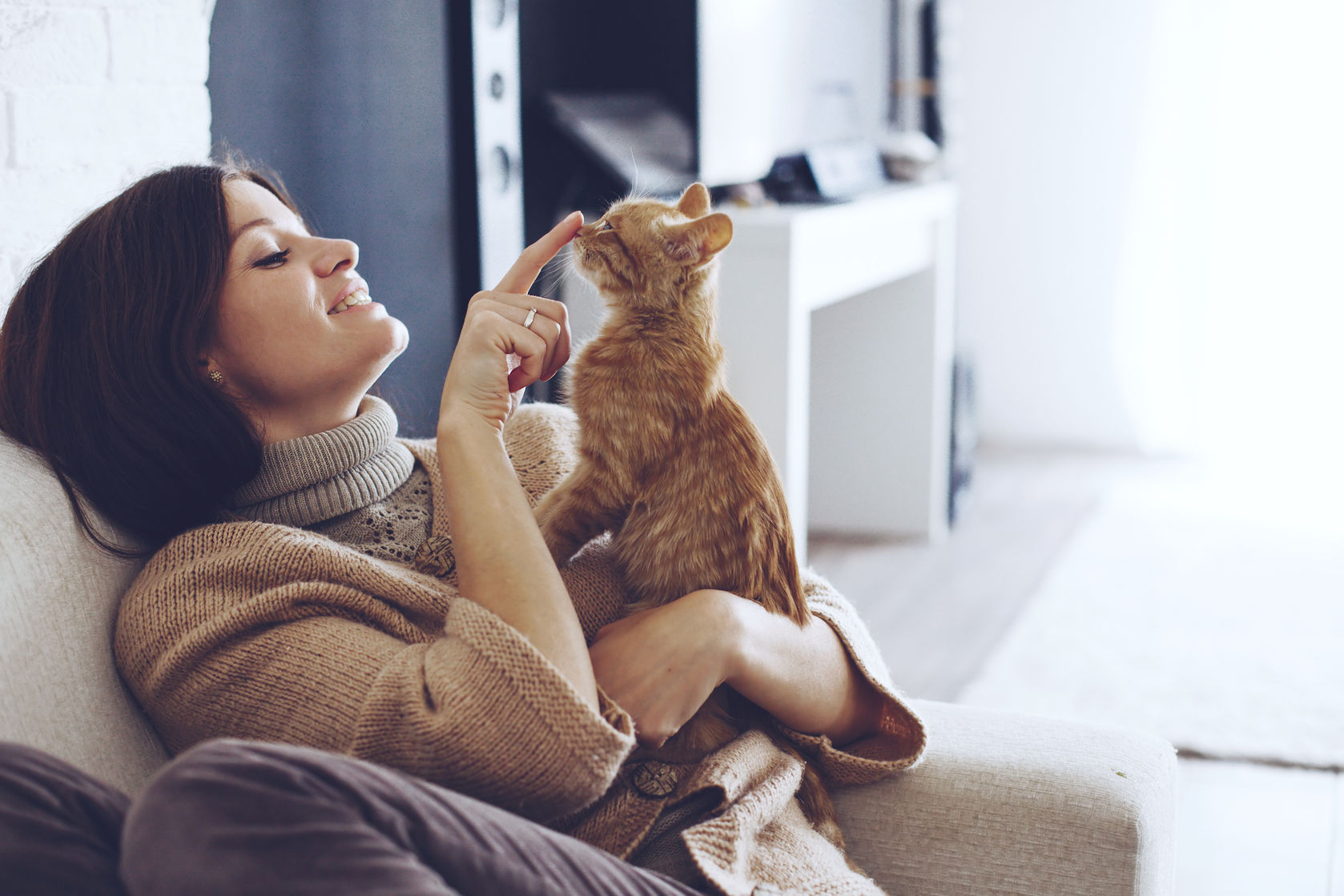 Clean House With Pets
