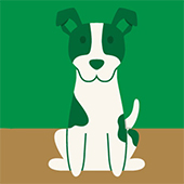 link to 14 Ways To Go Green With Your Dog