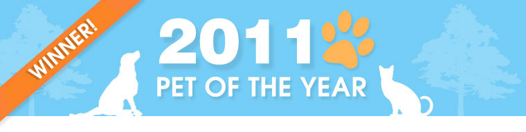 2011 Pet of the Year