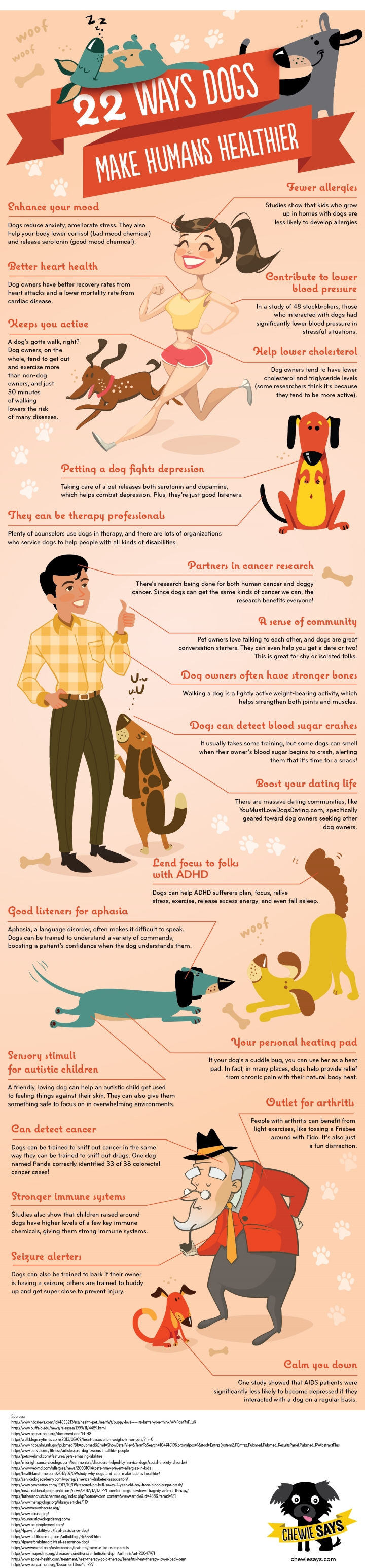 Differences Between Cat Dog Owners