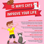 link to 4 Ways Cats Are Good For Your Heath