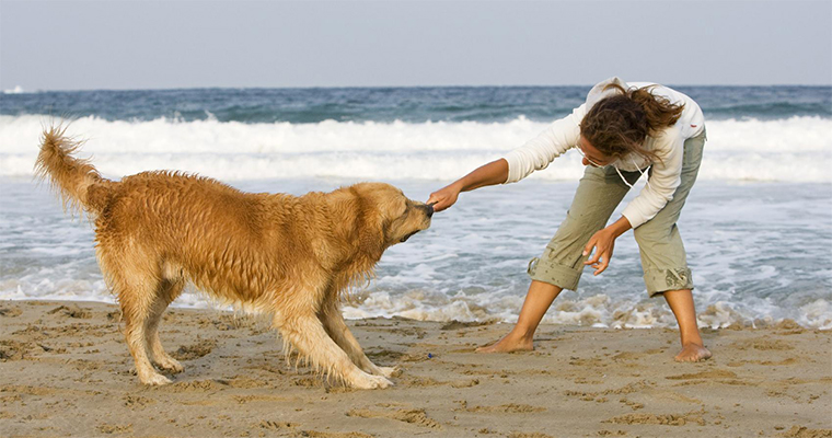 Top 10 Places to Take Your Pet on the West Coast 1