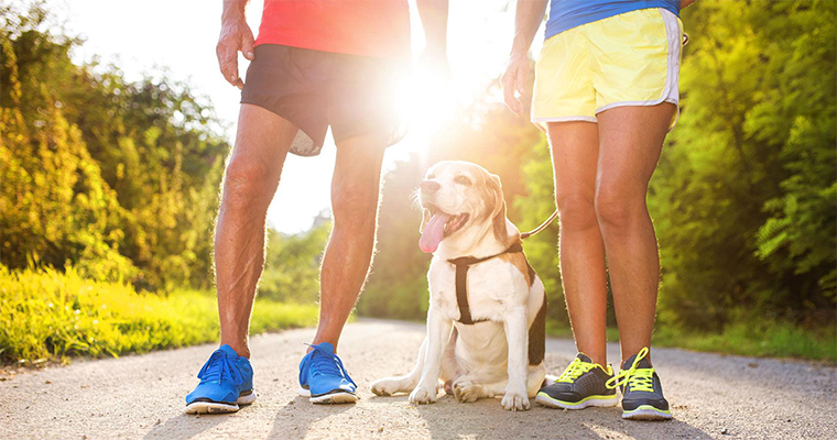 Top 10 Places to Take Your Pet on the West Coast