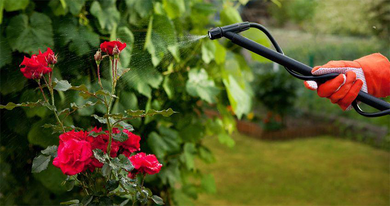 Secure Garden Fencing