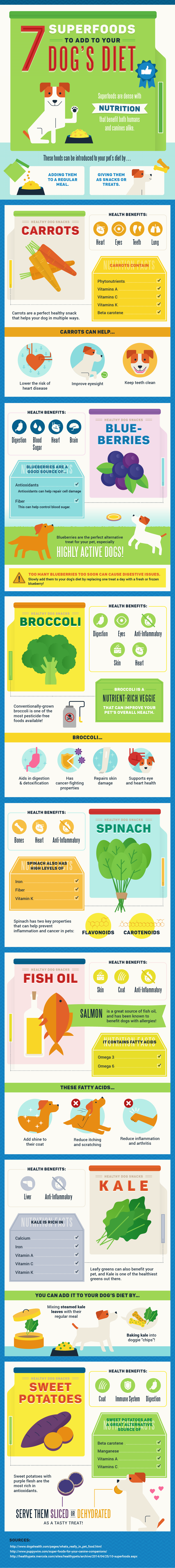 7 Superfoods to Add to Your Dog's Diet - infographic