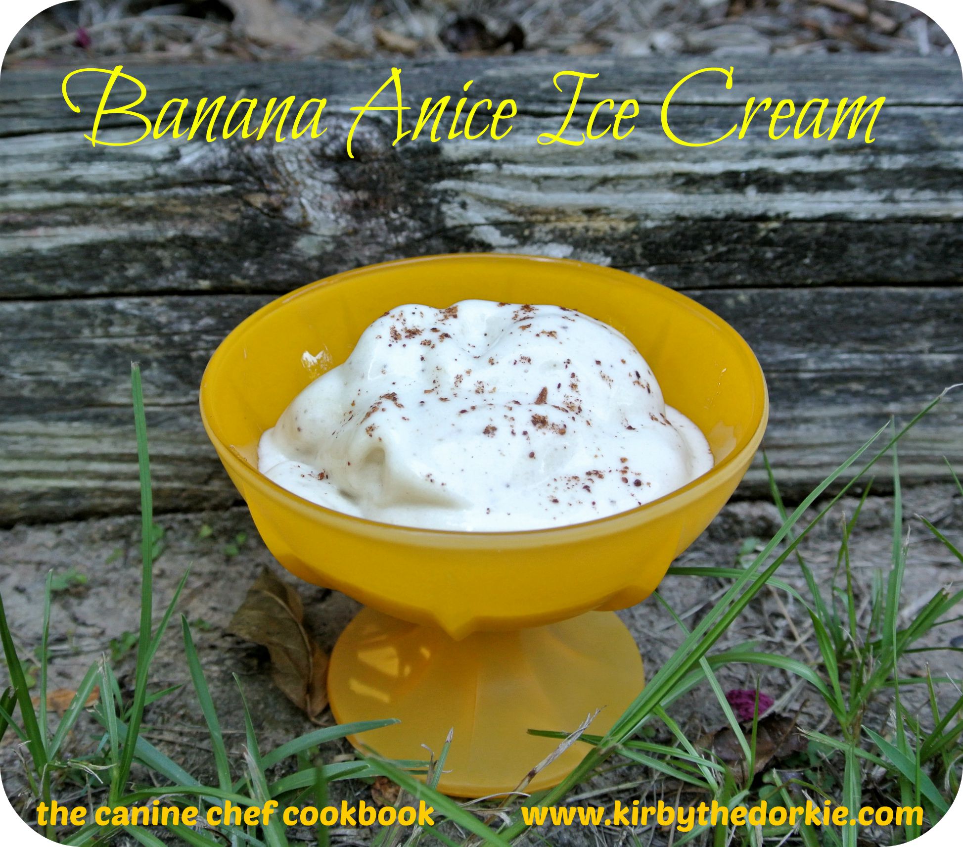 Banana Anise Ice Cream Recipe for Dogs
