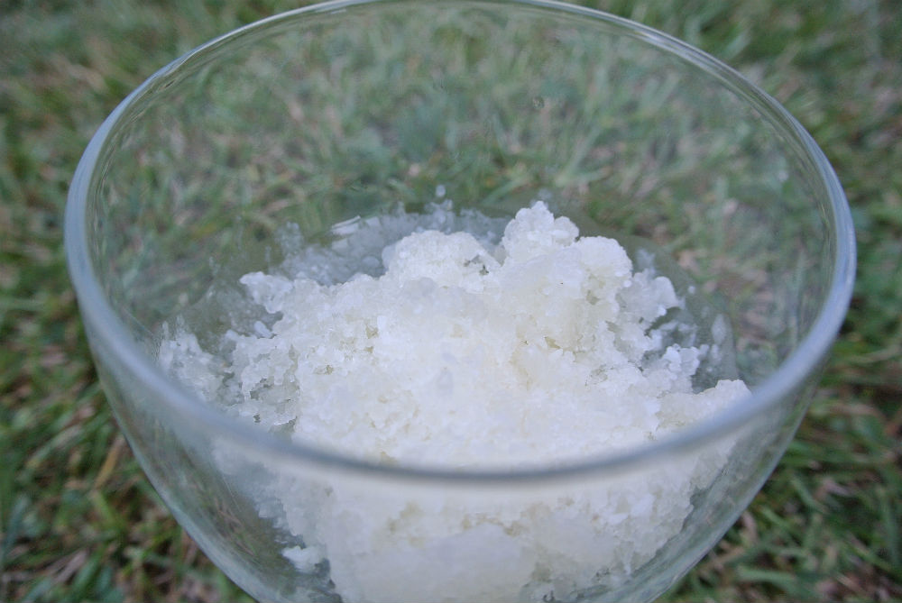 Barkaritas, a Margarita Recipe for Dogs